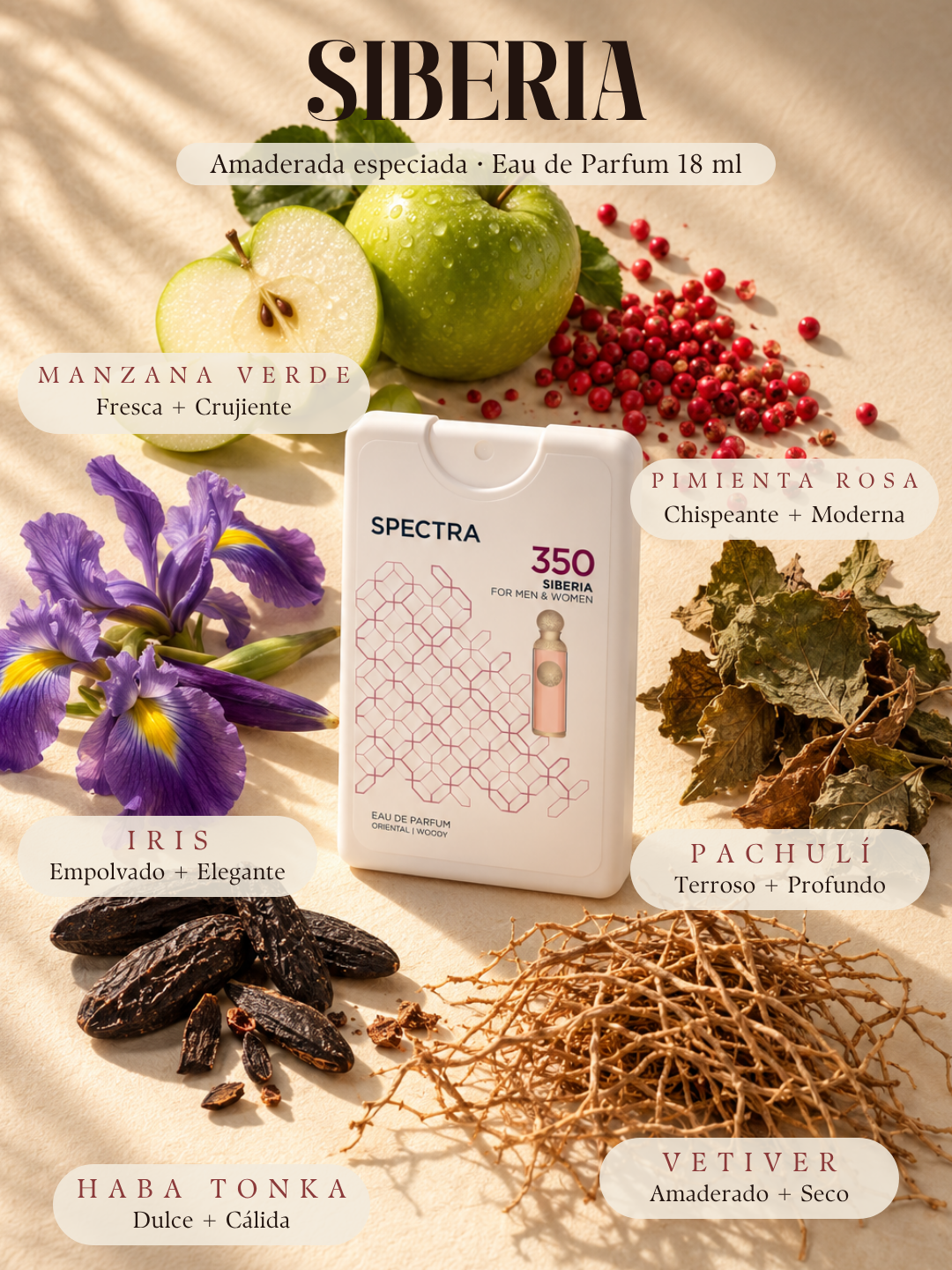 Notas olfativas Spectra Pocket 350 Siberia